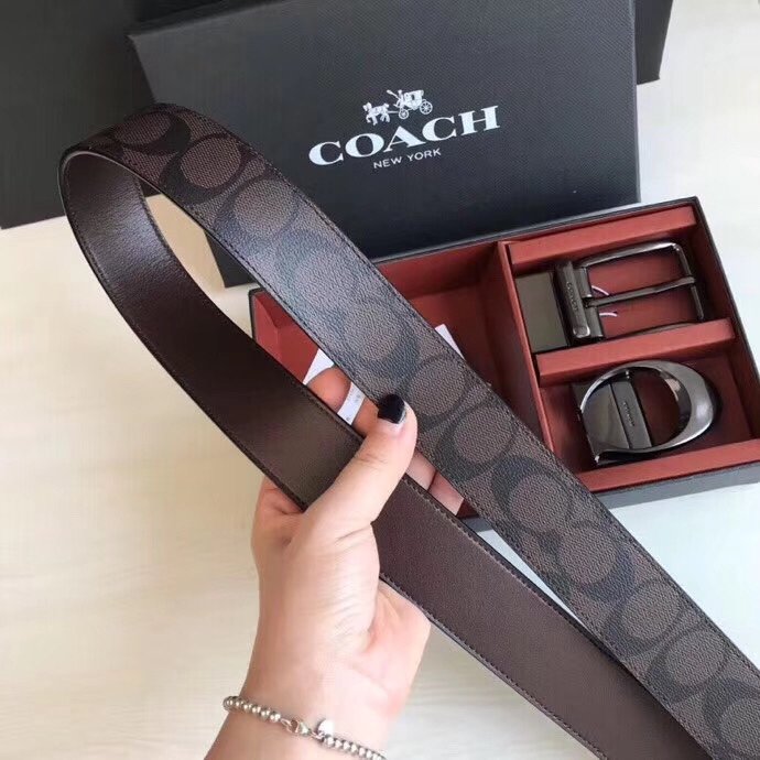 Coach Belts